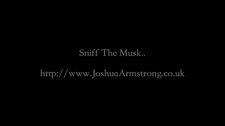 Sniff The Musk